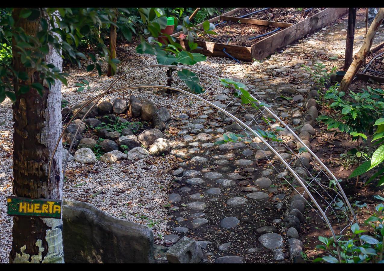 Villas Pura Vibra Potrero  Dış mekan fotoğraf